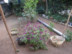 Garden and 9' tube